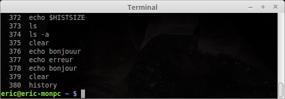 Cómo borrar el historial de comandos del terminal Linux 3