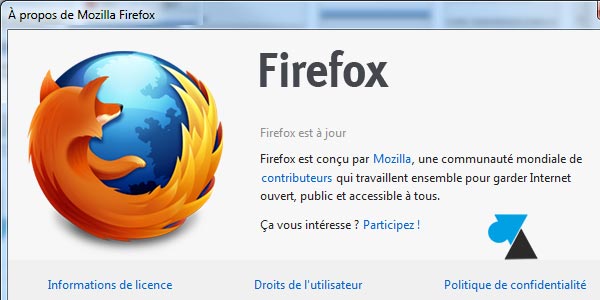 Vaciar los archivos temporales de Mozilla Firefox 1