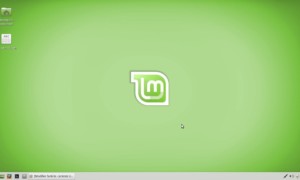 Mi Linux Mint no se inicia más