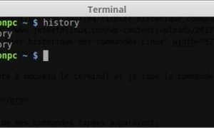 Cómo borrar el historial de comandos del terminal Linux