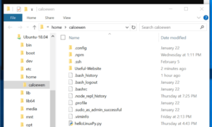 Cómo acceder al subsistema Windows para archivos Linux en Windows 10