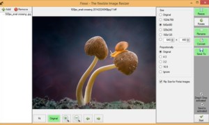 Flexxi: Software gratuito de redimensionamiento de fotos por lotes para Windows
