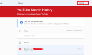 Cómo eliminar el historial de actividad de voz de Google OK