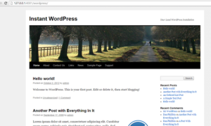 Cómo instalar WordPress en un PC con Windows