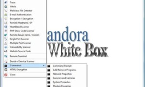 Caja Blanca de Pandora: Herramienta para administradores de sistemas Windows y expertos en seguridad