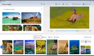 Cómo usar el editor de revisiones de historias en la aplicación Windows 10 Photos