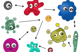 Qué es un virus polimórfico y cómo tratarlo