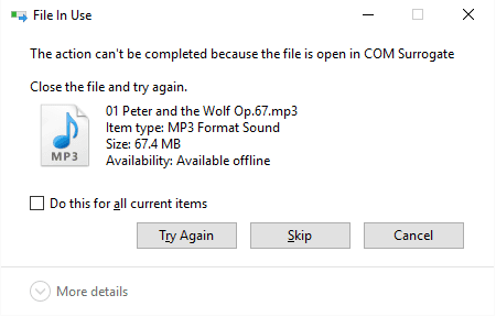 The-action-cannot-be-completed-because-the-file-is-open-in-COM-Surrogate