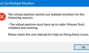 Cómo utilizar el monitor dual con la máquina virtual VMware