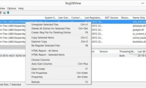 RegDllView: Ver todos los archivos DLL registrados en un ordenador con Windows