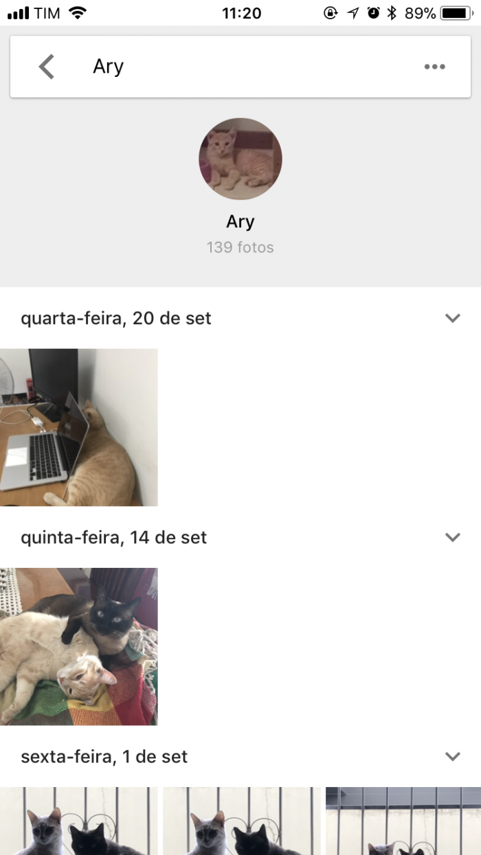 Google ahora agrupa fotos de tu perro o gato 1