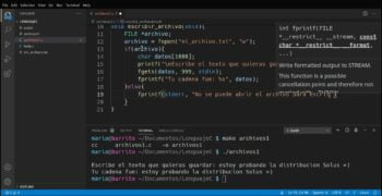 ¿Cómo escribir en un archivo de texto en C?