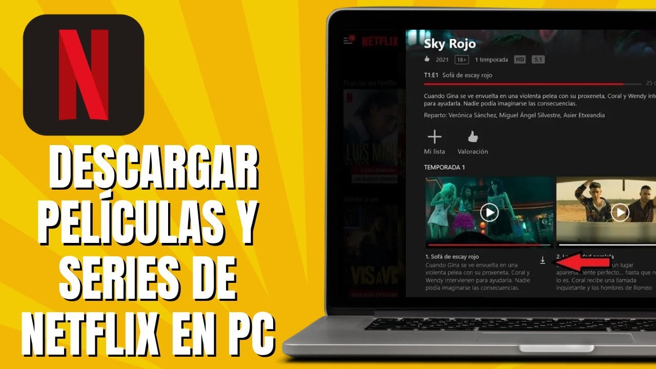 ¿Cómo descargar películas y series de Netflix en PC?