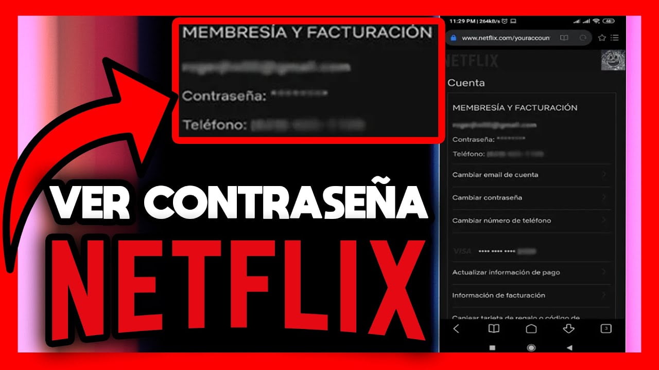¿Cómo ver el correo y contraseña de mi cuenta de Netflix?