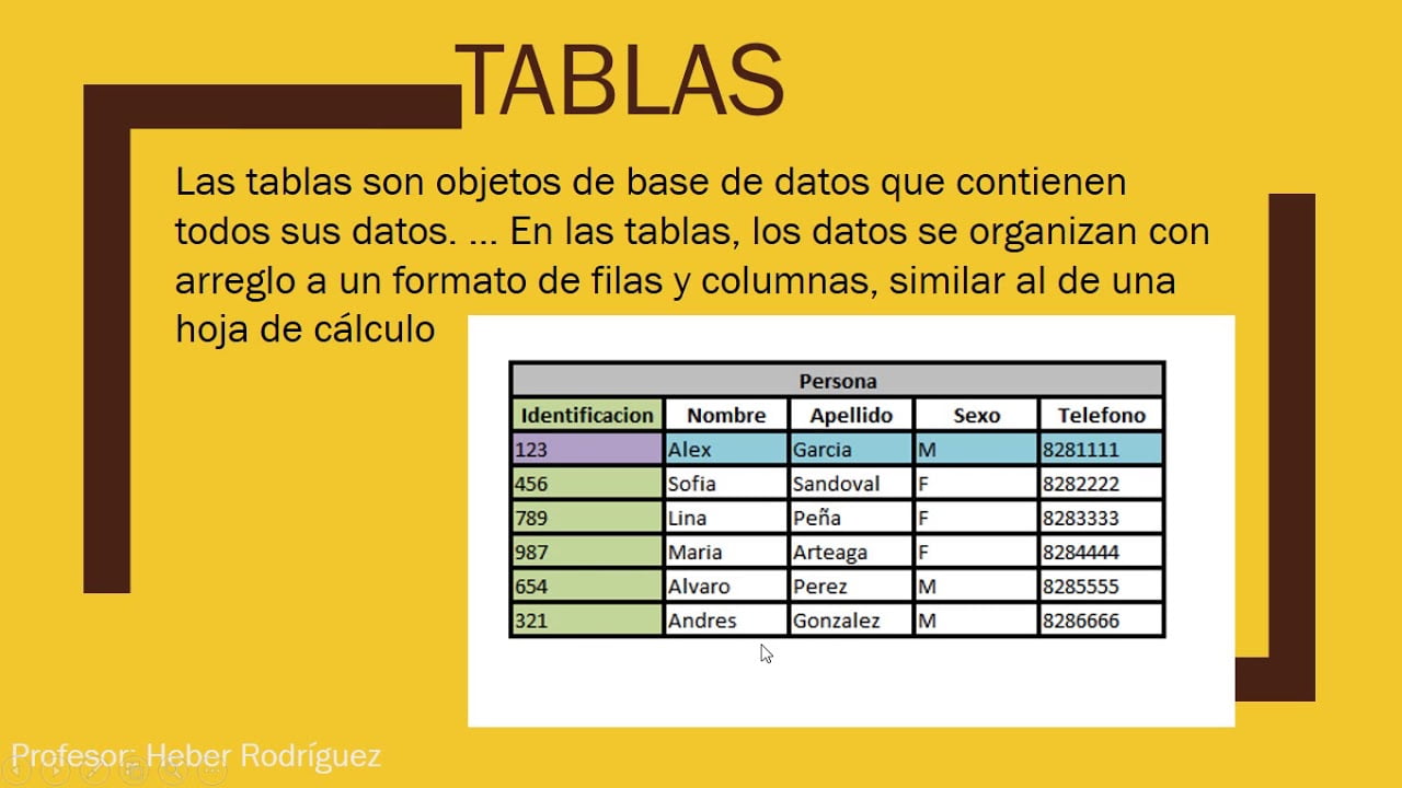 ¿Cuáles son los elementos de la base de datos?