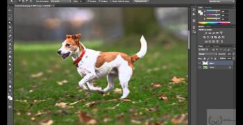 ¿Cómo pegar una imagen sobre otra en Photoshop online?