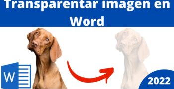 ¿Cómo hacer que una tabla sea transparente en Word?