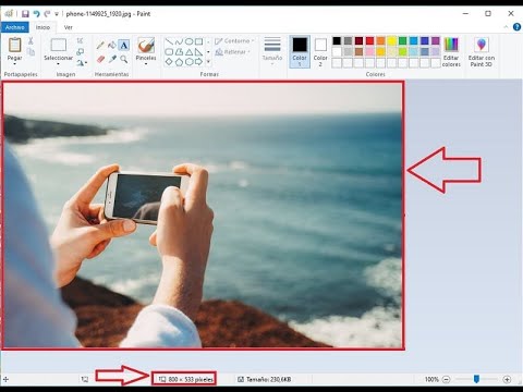 ¿Cómo cambiar el tamaño de una imagen sin perder calidad online?