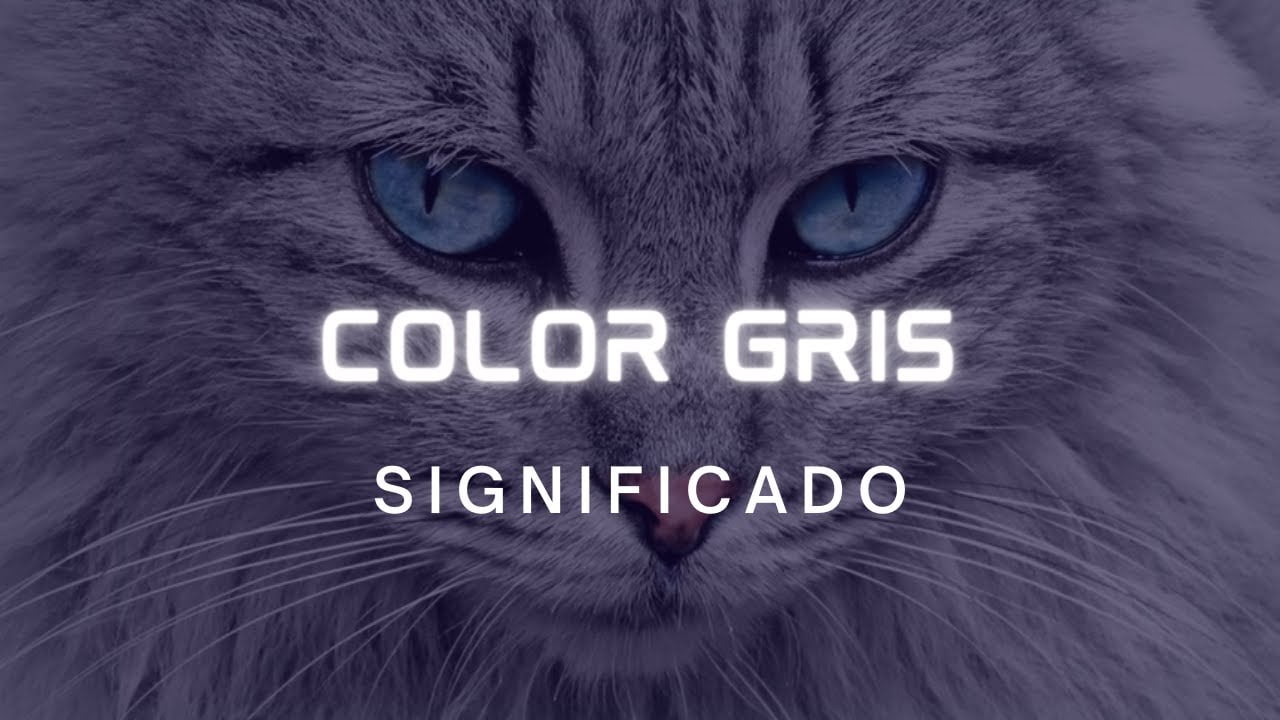 ¿Que nos transmite el color gris?