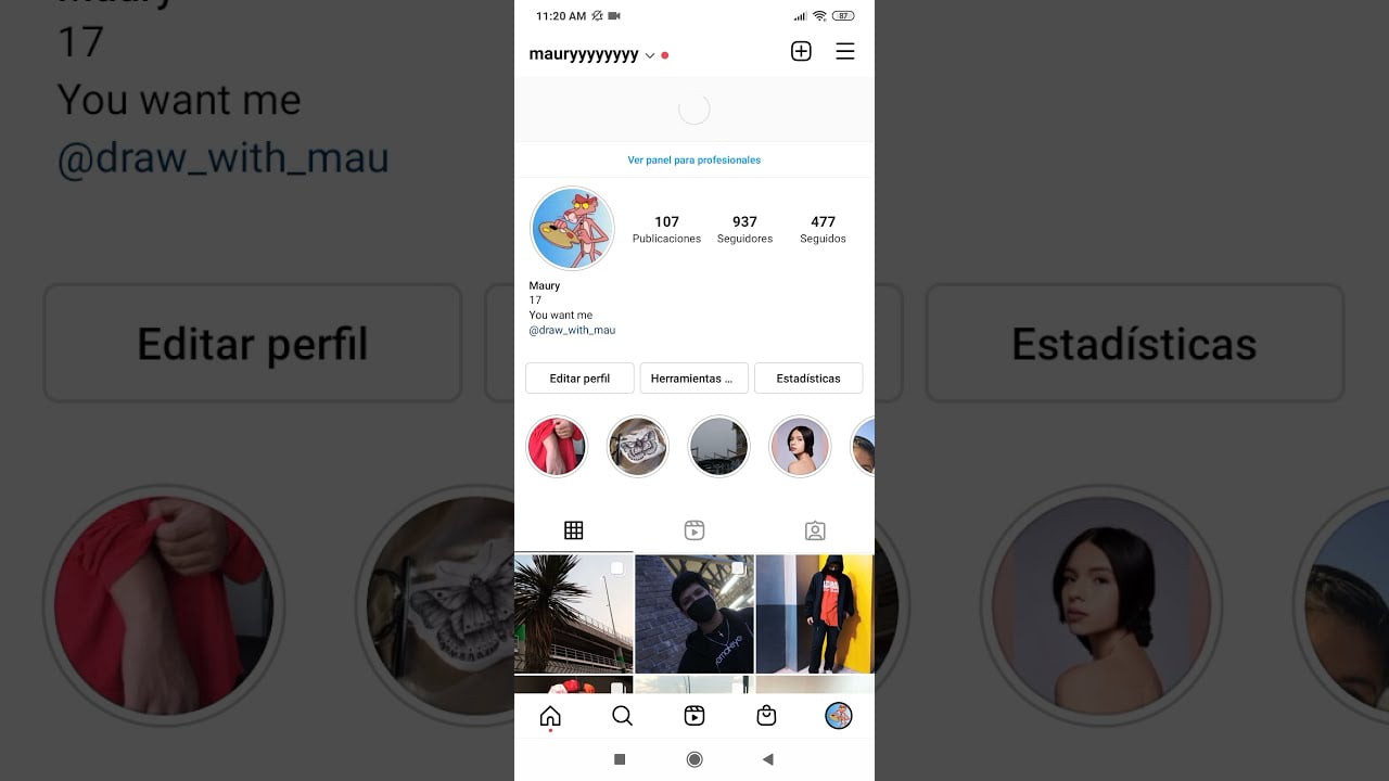 ¿Cómo compartir un perfil de Instagram en mi perfil?