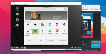 ¿Cómo instalar un programa en Linux Mint?