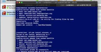 ¿Cuál es el gestor de paquetes de Red Hat?