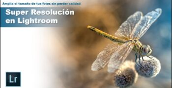 ¿Cómo cambiar la resolucion en lightroom?