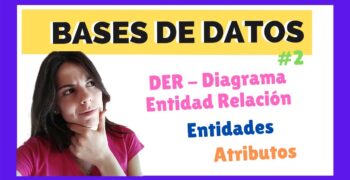¿Cuáles son las características de una entidad?