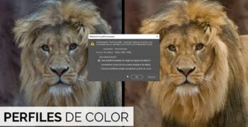 ¿Cuál es el perfil de color adecuado para Photoshop?