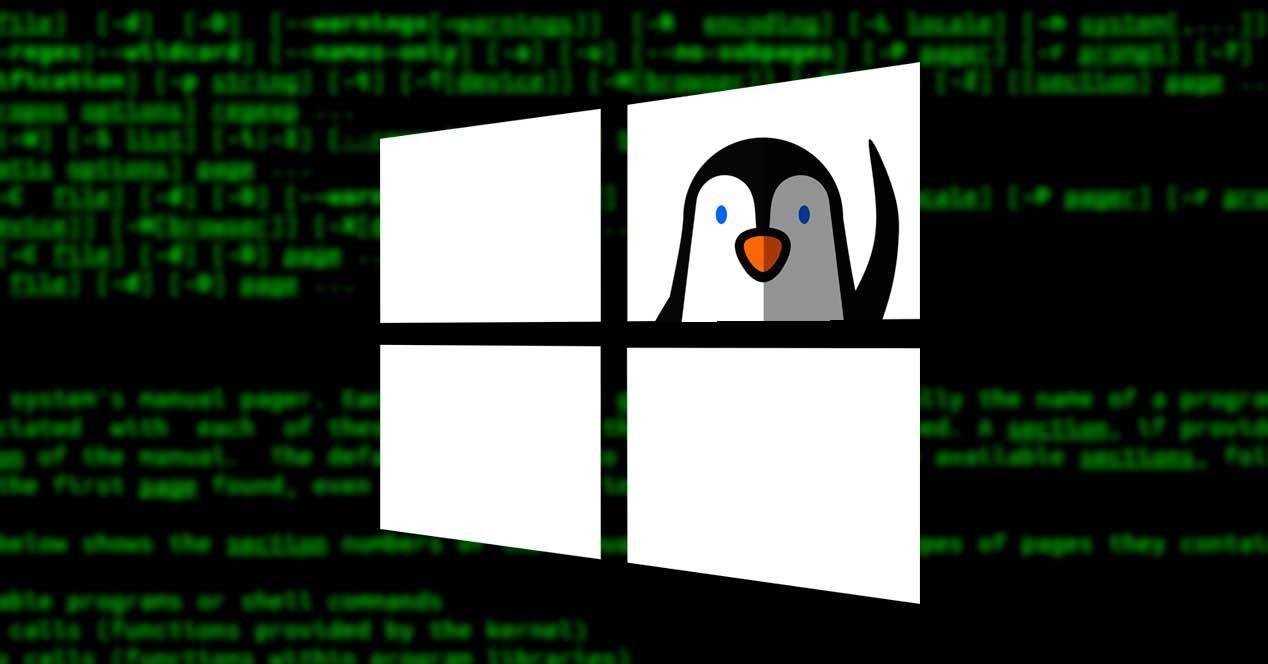 Scripts de Bash en Windows: Cómo crearlos con WSL