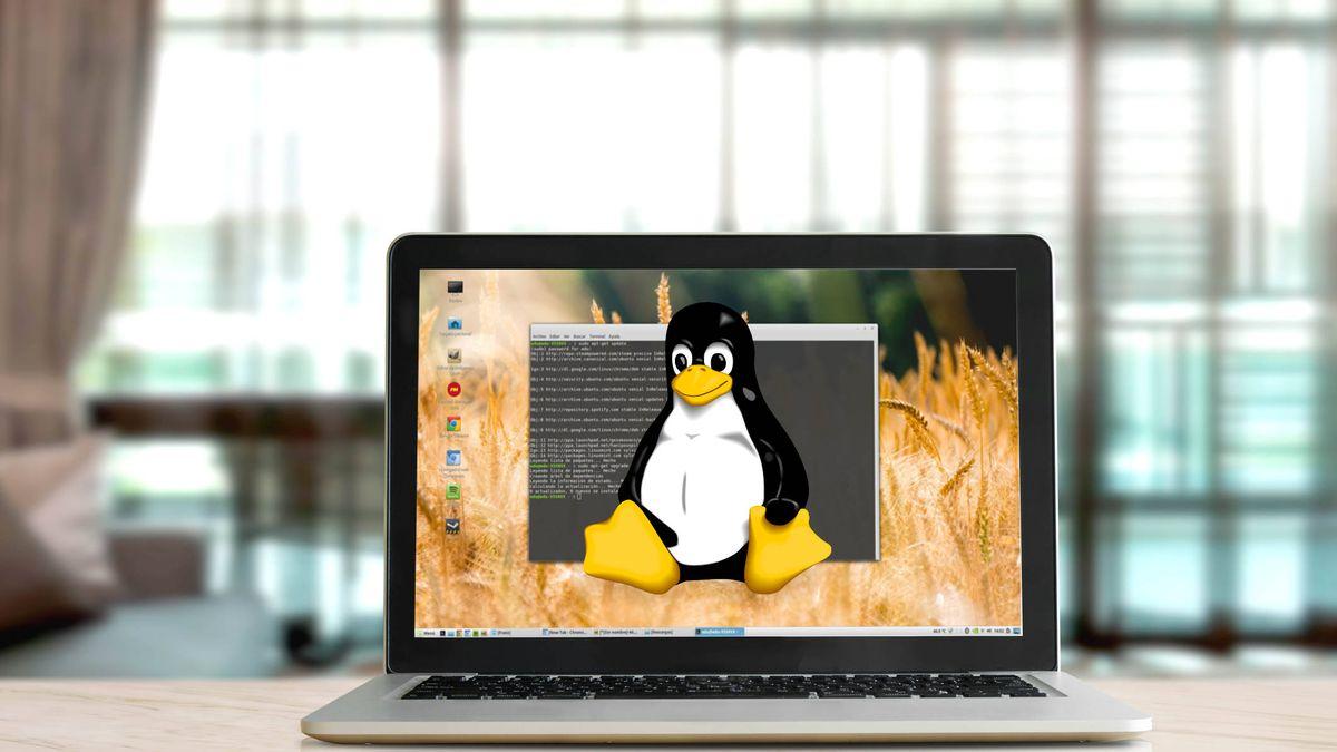 crear una distribución linux