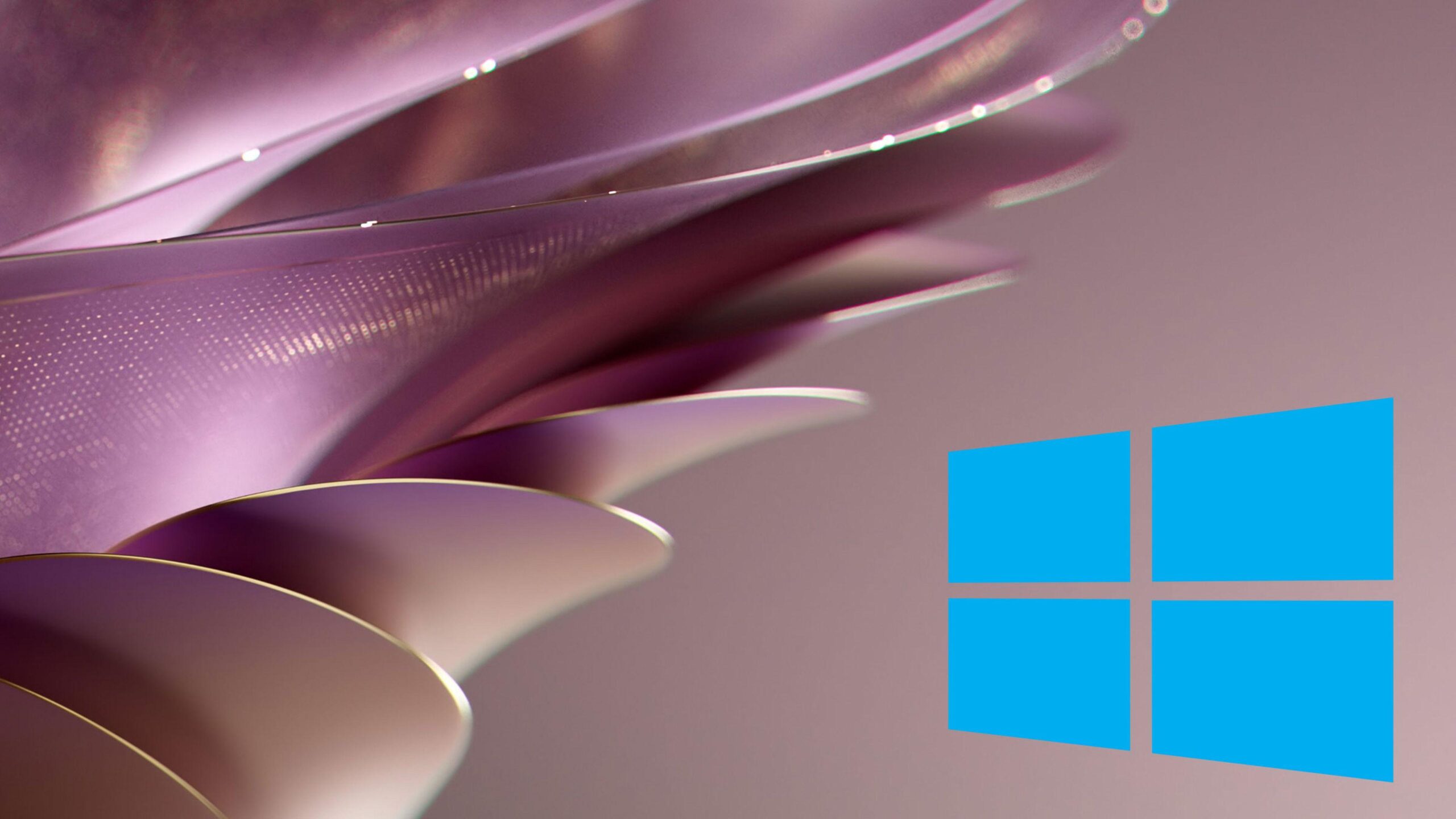 Temas de Windows 11