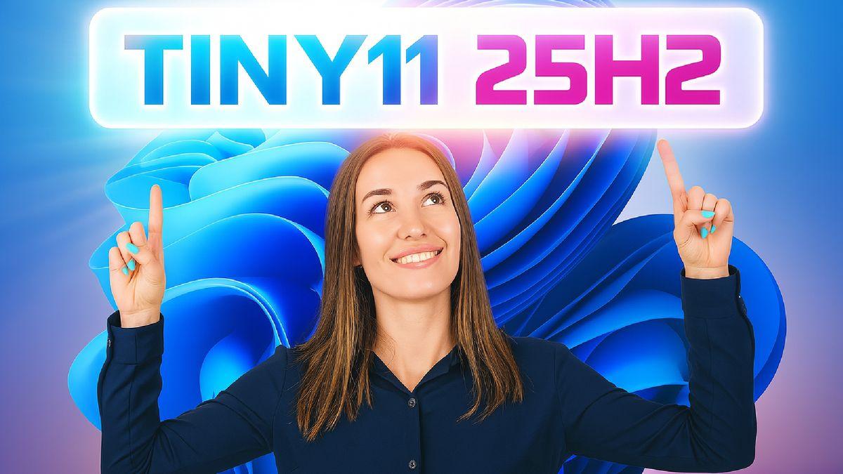 Limitaciones y legalidad Tiny11