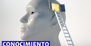 Cuáles Son Las 3 Características De La Personalidad