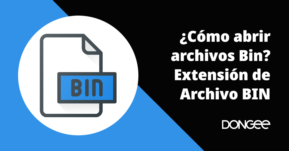 Qué es un archivo BIN