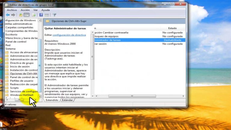 Microsoft Xp Task Manager How to enter the Windows XP Task Manager?