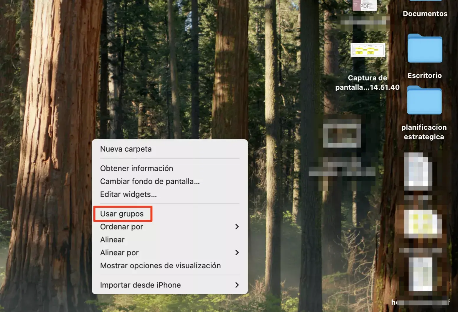 Opciones de visualización del escritorio en macOS Opciones de visualización del escritorio en macOS
