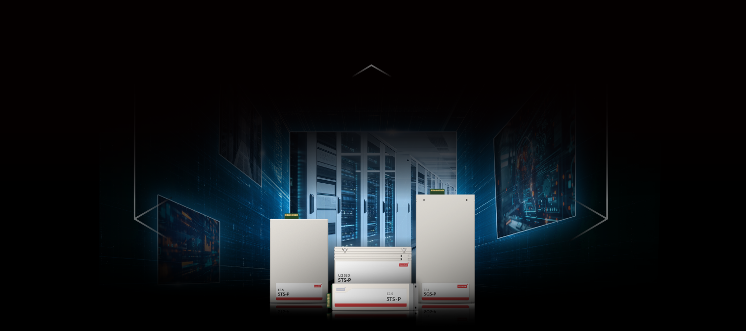 Tarjeta CXL Add-in Card en servidor