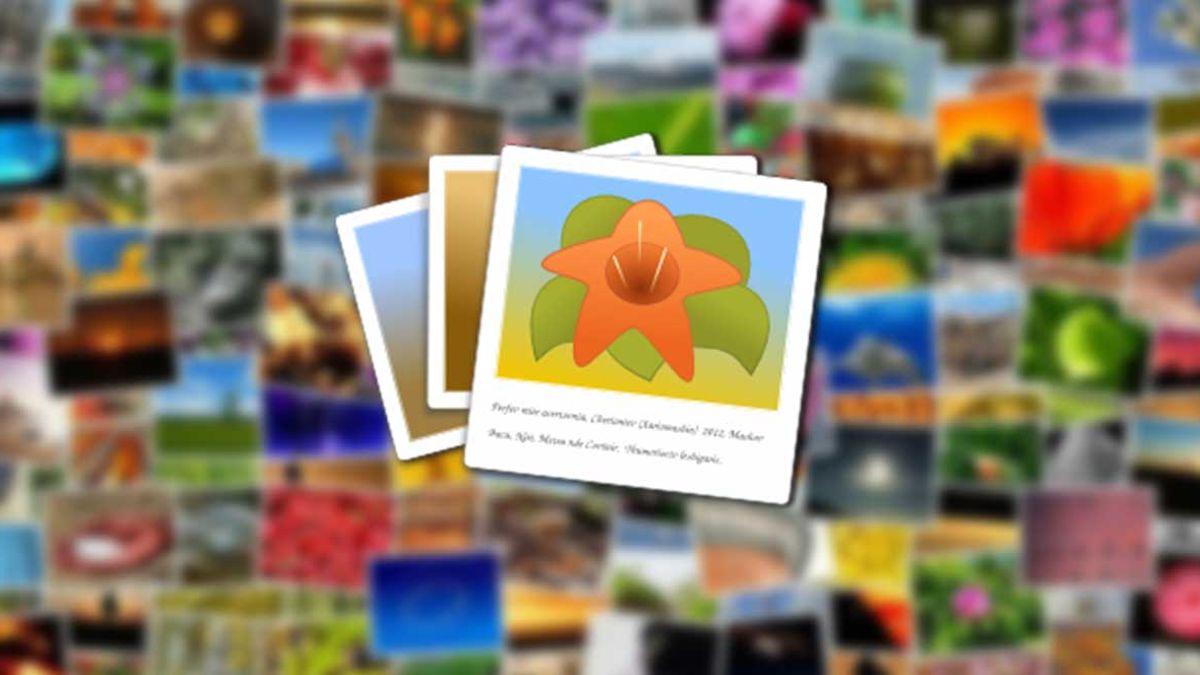 Aplicación organizador de fotos Aplicación organizador de fotos en el móvil