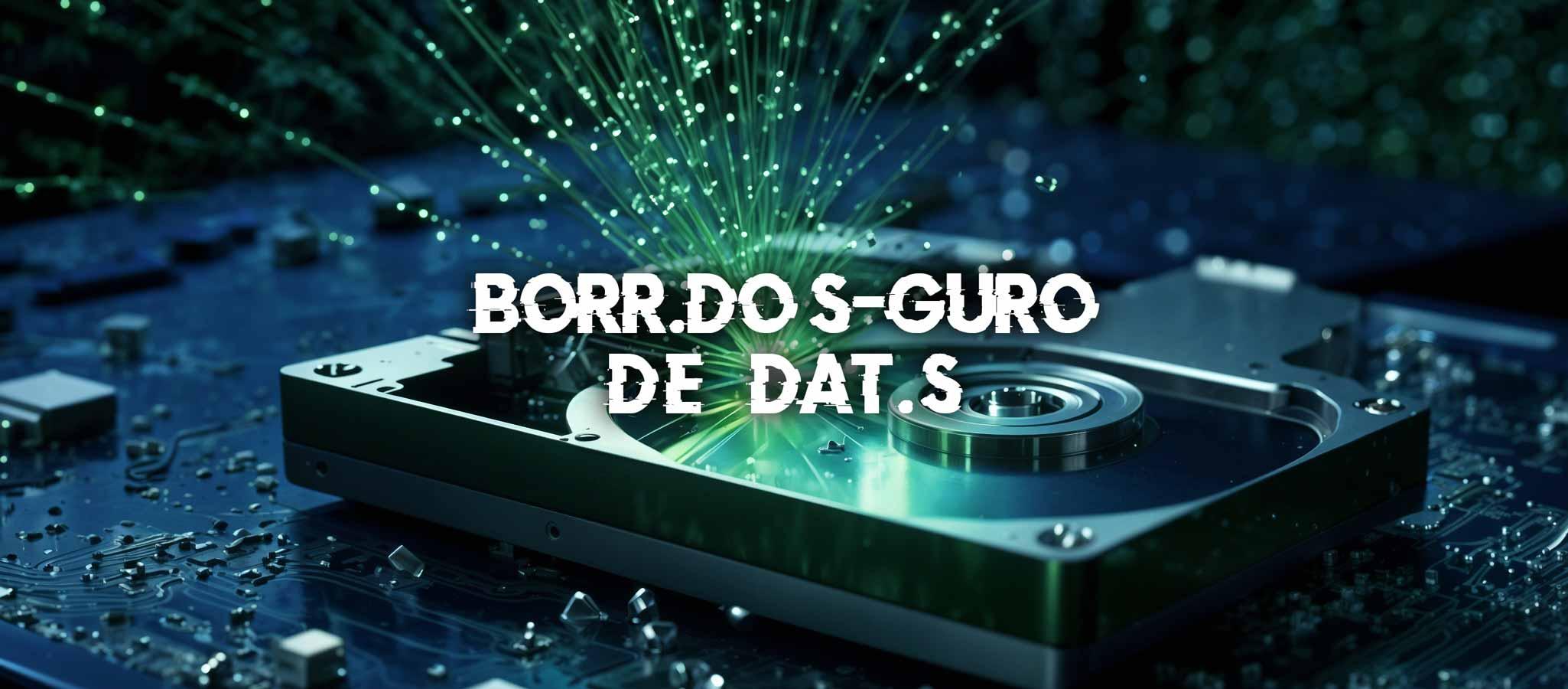 Borrado seguro de disco