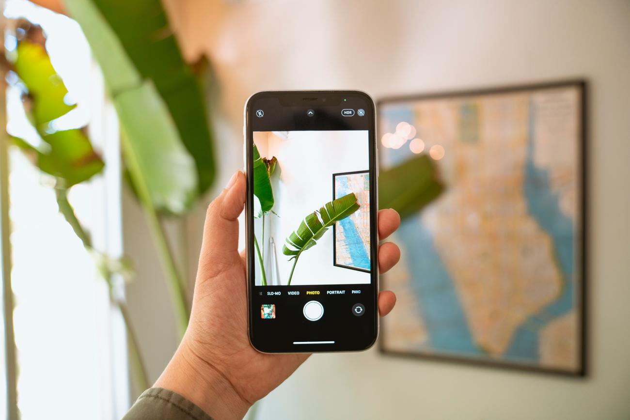 Primer plano de una mano capturando la fotografía de una hoja verde con un smartphone, ilustrando la fase de captura previa a la edición.